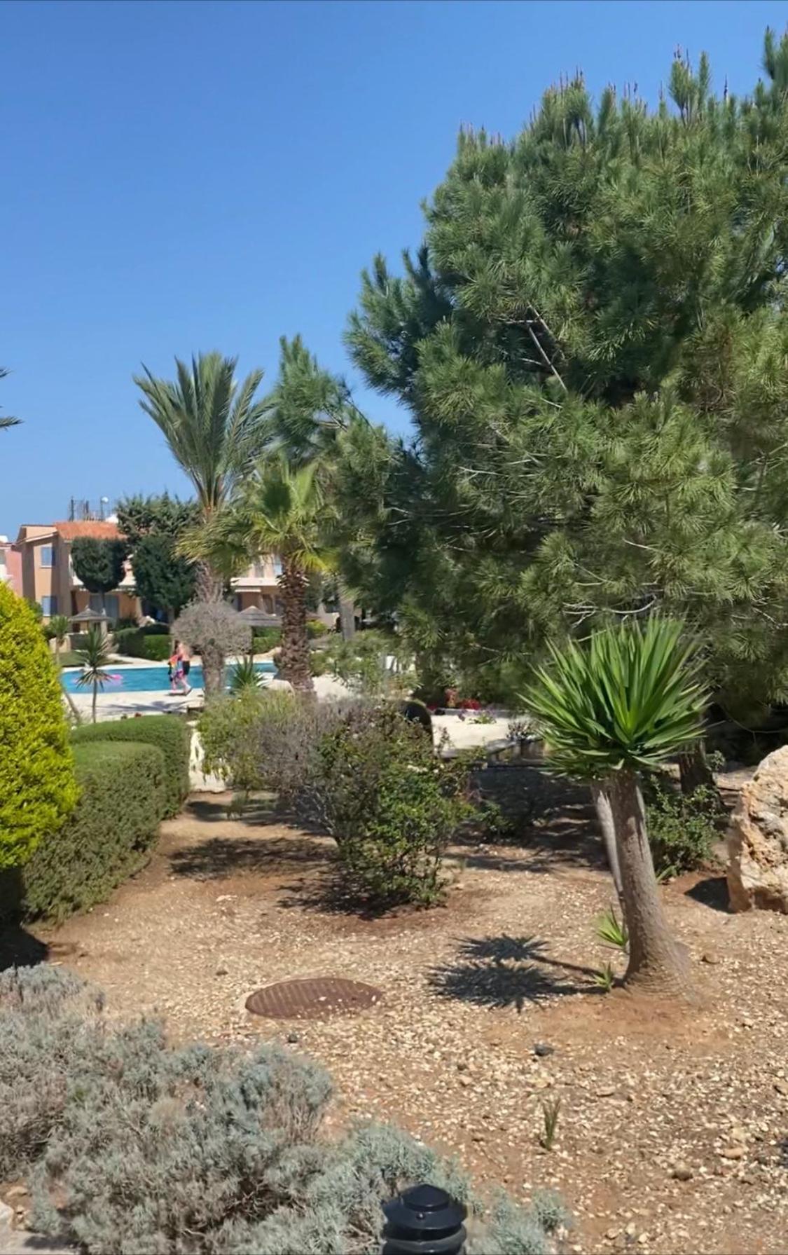 Newly Renovated- Regina Gardens 1, Venus Beach 500 M, Sea&Sunsets View, License Ooo7141 Paphos Ngoại thất bức ảnh