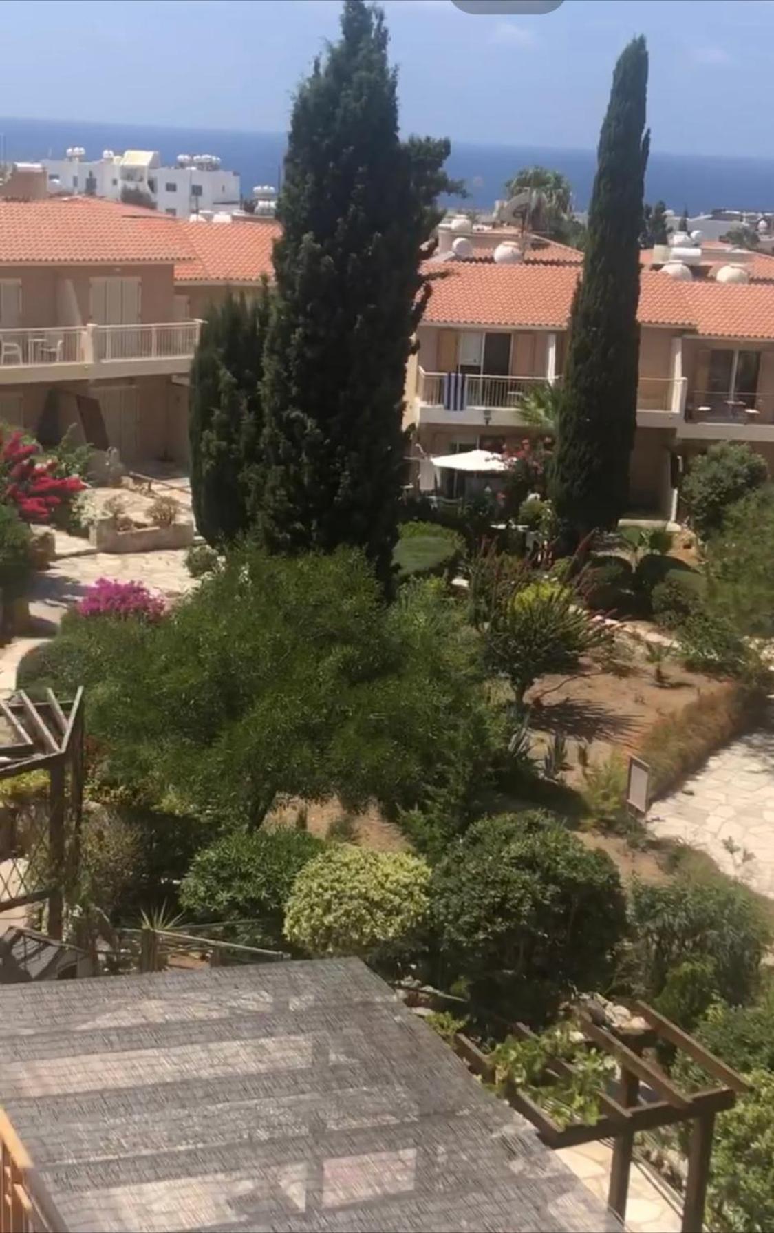 Newly Renovated- Regina Gardens 1, Venus Beach 500 M, Sea&Sunsets View, License Ooo7141 Paphos Ngoại thất bức ảnh