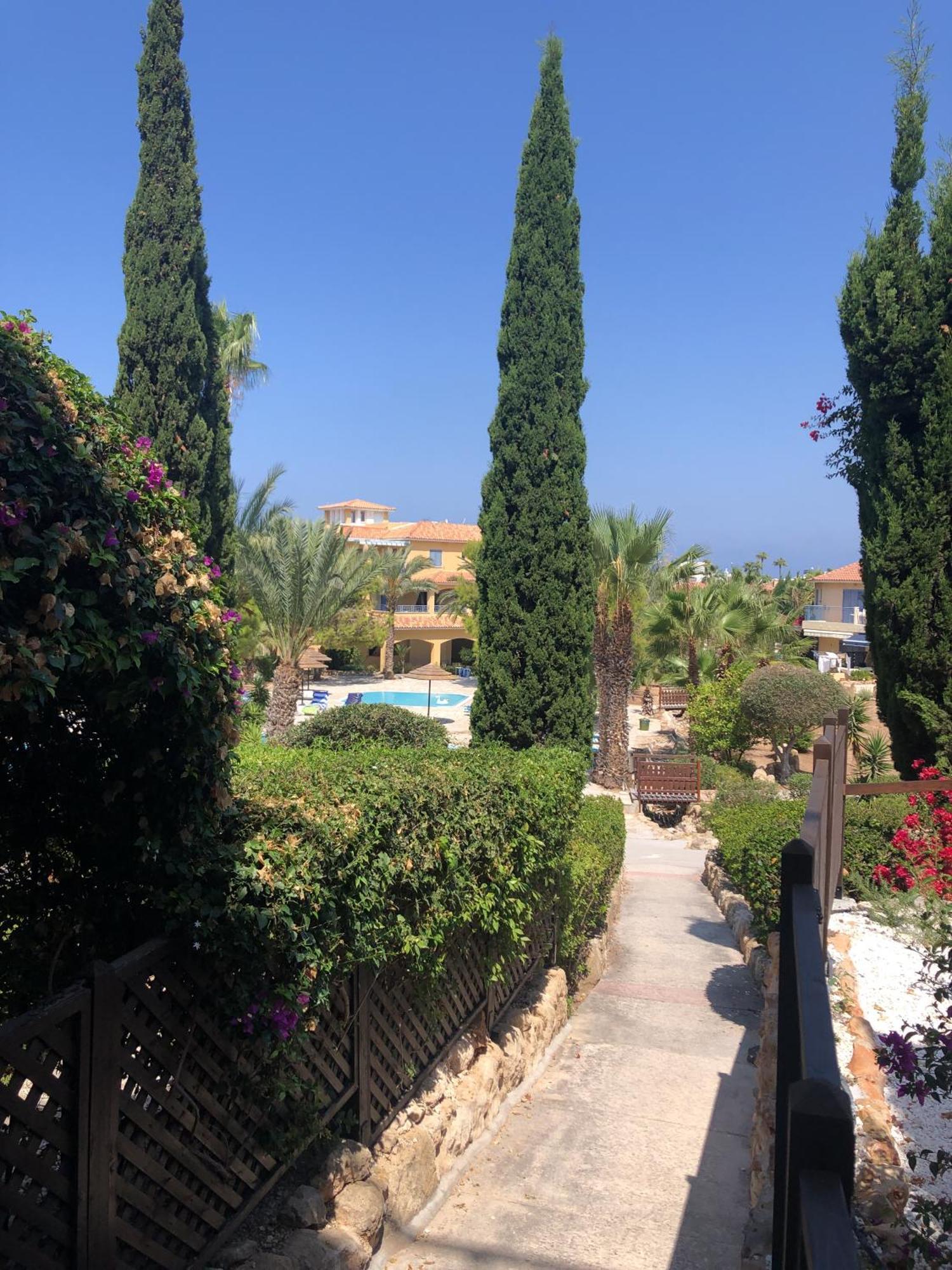 Newly Renovated- Regina Gardens 1, Venus Beach 500 M, Sea&Sunsets View, License Ooo7141 Paphos Ngoại thất bức ảnh